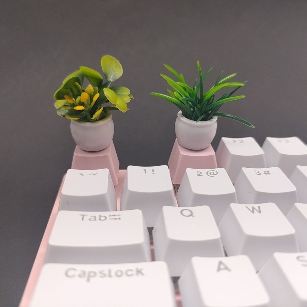 Колпачки для ключей Вишневый п – обзор и цена Gaming Accessories Cute